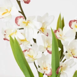 Cymbidium In Glass Vase 8 Cymbidium In Glass Vase -Furniture Sales webimage 207999720 dtl1 1