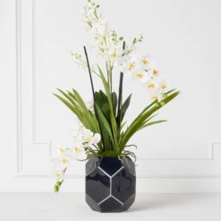 Orchids In Glass Bowl -Furniture Sales webimage 207999723