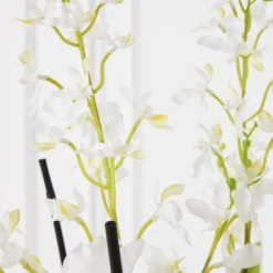 Orchids In Glass Bowl -Furniture Sales webimage 207999723 dtl2