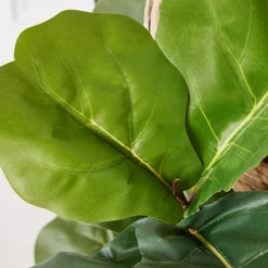 Fiddle Leaf Branches In Bowl -Furniture Sales webimage 207999724 dtl2