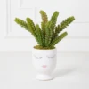 Selfie Succulents In Face Planter -Furniture Sales webimage 207999751