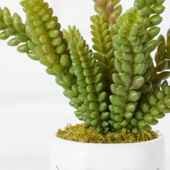 Selfie Succulents In Face Planter -Furniture Sales webimage 207999751 dtl1