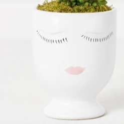 Selfie Succulents In Face Planter -Furniture Sales webimage 207999751 dtl2