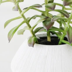 Furniture Sales -Furniture Sales webimage 207999954 dtl 1