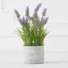 Lavender In Grey Pot -Furniture Sales webimage 207999958 1