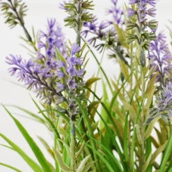 Lavender In Grey Pot -Furniture Sales webimage 207999958 dtl2