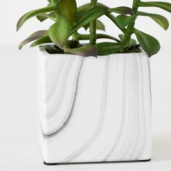 Tree Succulents In Marble Pot -Furniture Sales webimage 207999966 dtl 1