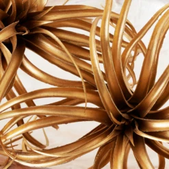 Faux Air Plant -Furniture Sales webimage 209168339 DTL