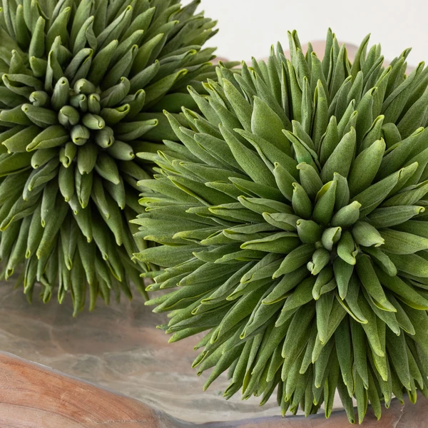 Faux Allium Sphere 5 Faux Allium Sphere - Image 3