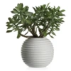 Faux Sedum Succulent Pick - Set Of 3 -Furniture Sales webimage 209198137 jpg 2