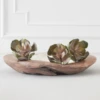 Faux Echeveria Succulent Pick -Furniture Sales webimage 209200688