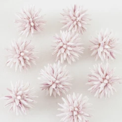 Faux Allium Sphere - Set Of 9 -Furniture Sales webimage 209202507 alt1