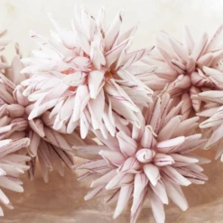 Faux Allium Sphere - Set Of 9 -Furniture Sales webimage 209202507 dtl 1