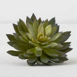 Faux Thorn Succulent Pick -Furniture Sales webimage 209207824 alt1