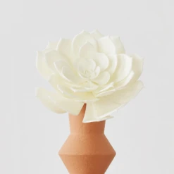 Faux Echeveria Succulent Pick -Furniture Sales webimage 209208664 alt1 1