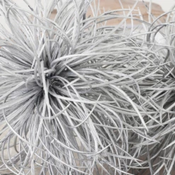 Metallic Sphere -Furniture Sales webimage 209209486 dtl