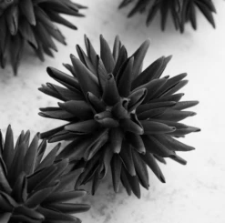 Faux Allium Sphere - Set Of 9 -Furniture Sales webimage 209356924 2 jpg