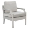 Desi Arm Chair -Furniture Sales webimage 601132652 jpg