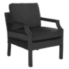 Desi Arm Chair -Furniture Sales webimage 601147610 jpg