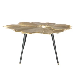 Ginko Coffee Table -Furniture Sales webimage 602084266 ALT1