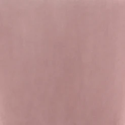 Mae Dining Chair - Set Of 2 -Furniture Sales webimage 603078728 DTL1 1