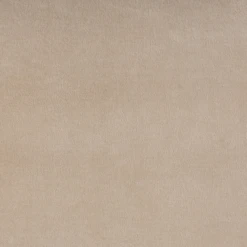 Velvet Tassle Lumbar Pillow - Light Beige -Furniture Sales webimage 620721131 DTL1