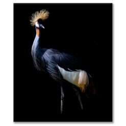 Ready For My Close Up 1