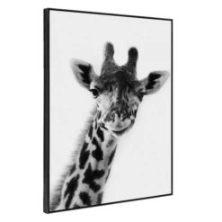 Exotic Animals 4 -Furniture Sales webimage 630101052 1 jpg 3