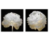 Gold And White Blossom On Black - Set Of 2 -Furniture Sales webimage 630160015 jpg 1