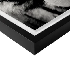 Wild Tiger -Furniture Sales webimage 630164770 630133051 DTL2