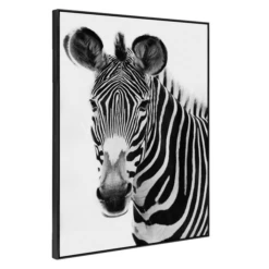 Exotic Animals 1 -Furniture Sales webimage 630179050 1 jpg