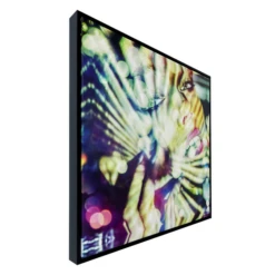 Disco Girl -Furniture Sales webimage 630189642 630180499 ALT1 1