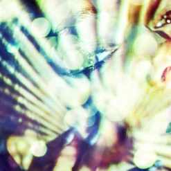 Disco Girl -Furniture Sales webimage 630189642 630180499 DTL1