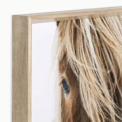 Blondie -Furniture Sales webimage 630319682 alt2