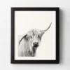 Hey Cow -Furniture Sales webimage 630321287 2