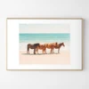 Summer Beach Horses -Furniture Sales webimage 630336232 1