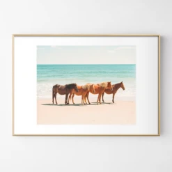 Summer Beach Horses