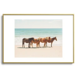 Summer Beach Horses -Furniture Sales webimage 630336232 SIL 2