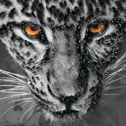 Leopard Spots -Furniture Sales webimage 630371298 630311422 630301417 DTL1 1