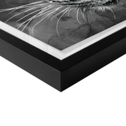 Leopard Spots -Furniture Sales webimage 630371298 630311422 630301417 DTL2