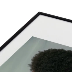 Venus 2 -Furniture Sales webimage 630727209 DTL2