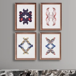 Platycercua Adelaidae -Furniture Sales webimage 725363872 2 jpg