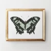 Beautiful Butterfly 2 -Furniture Sales webimage 725371592 jpg 2
