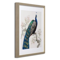 Peacock And Blossoms 1 -Furniture Sales webimage 730359926 2 jpg