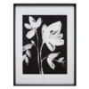 Whimsical Flowers 2 - Limited Edition -Furniture Sales webimage 730587187 jpg
