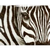 Zebra - Glass Coat -Furniture Sales webimage 750394306 jpg