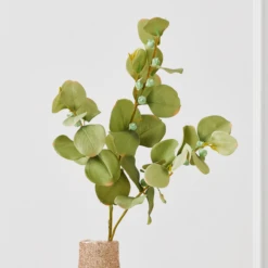 Eucalyptus Spray - Set Of 3 -Furniture Sales webimage 999172481 1