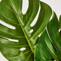 Faux Small Split Philo Leaf - Set Of 3 -Furniture Sales webimage 999904554 dtl